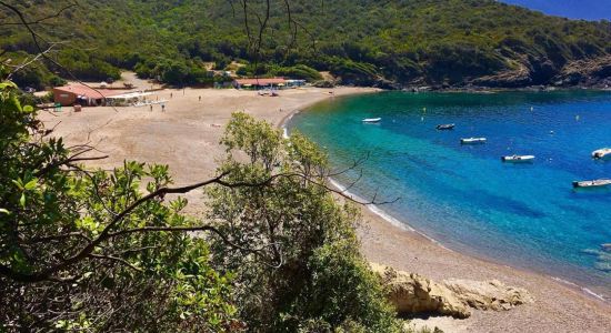 Stranden Le Punta Rossa II