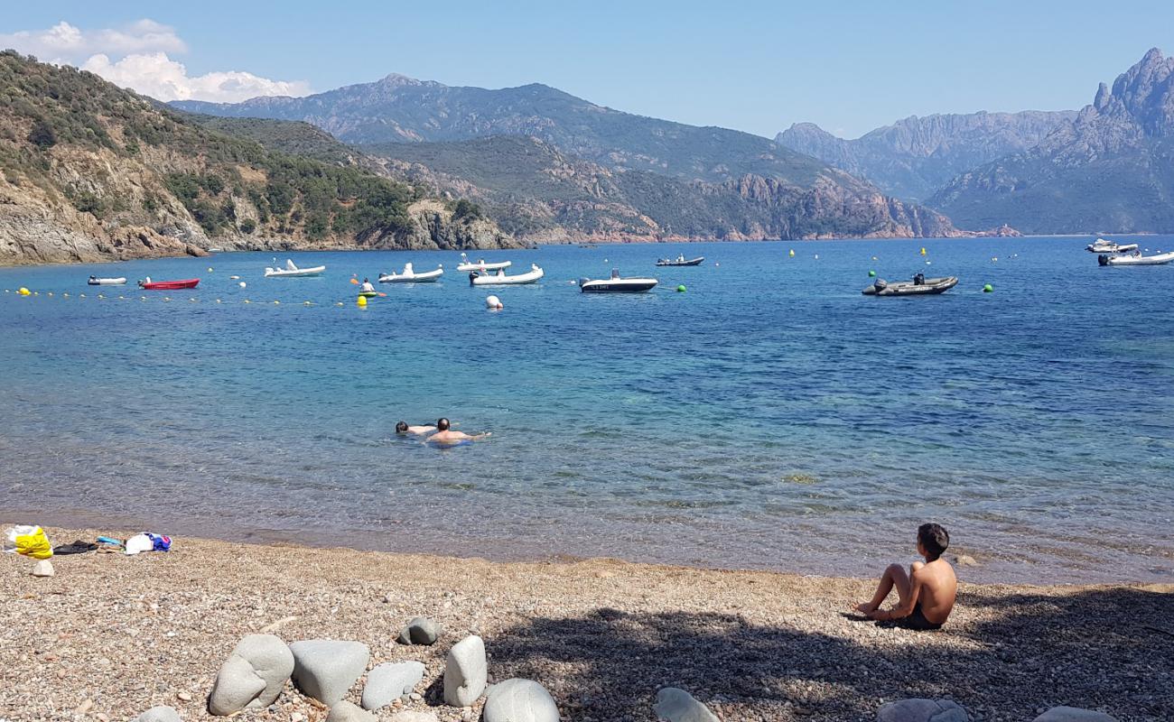 Foto af Punta Di Latone Strand med let sten overflade