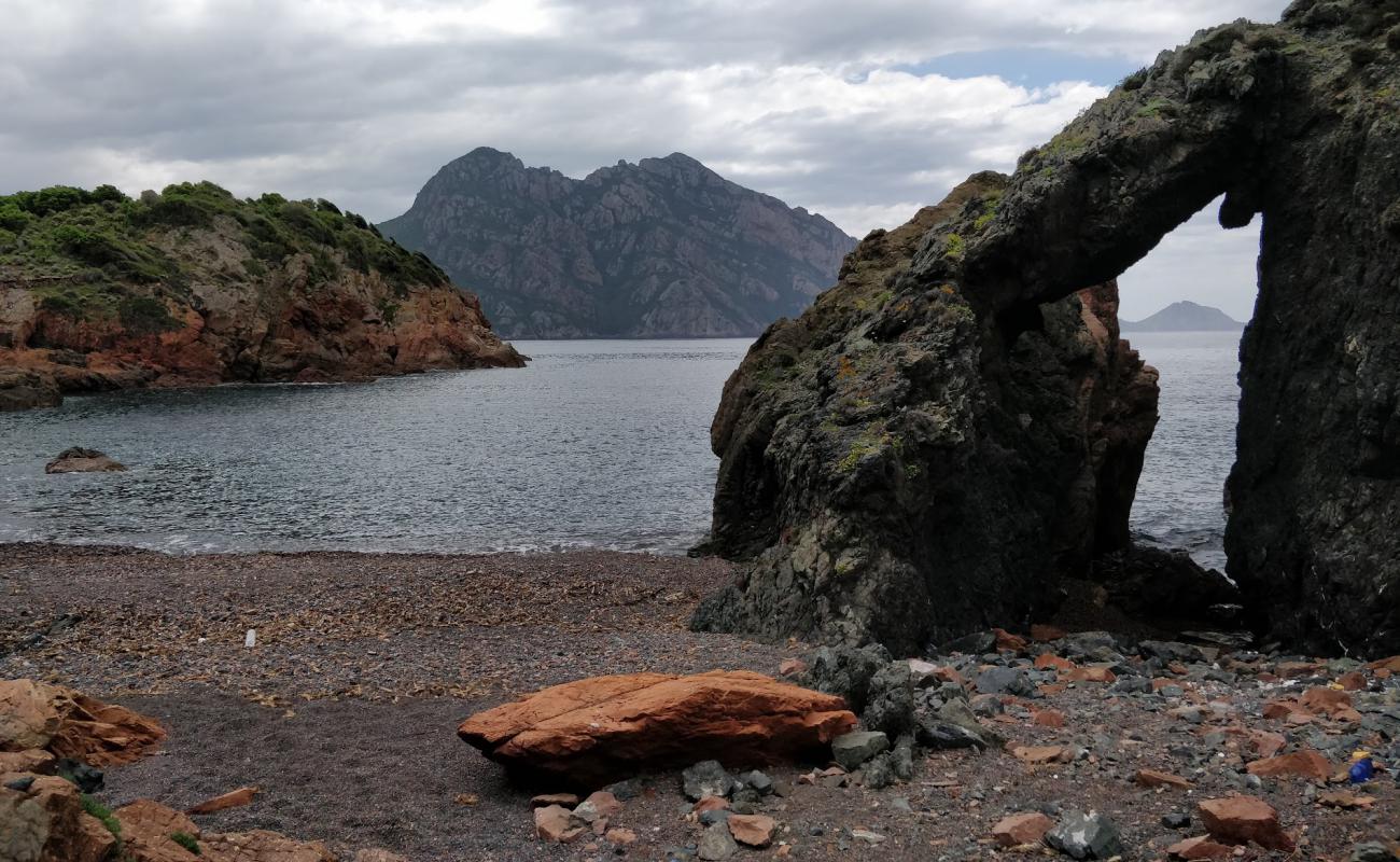 Foto af Cavone beach med grå sten overflade