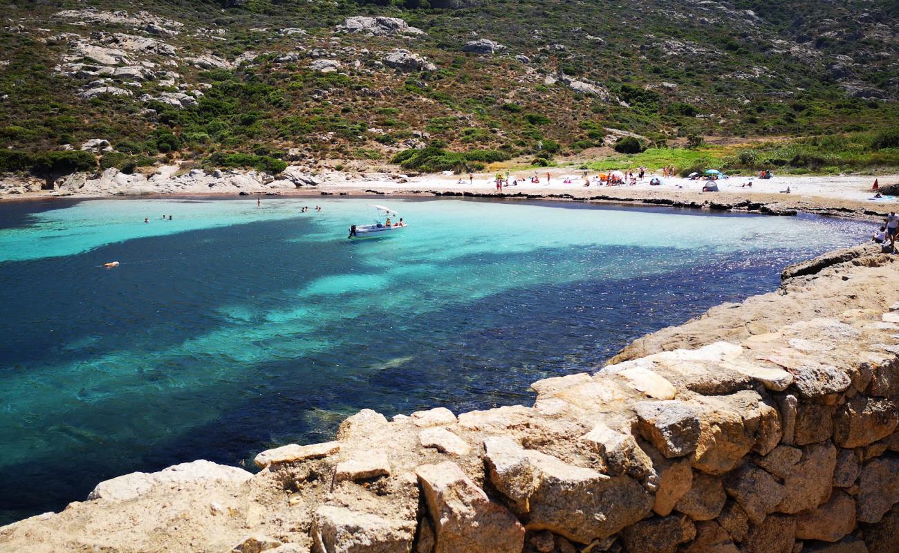 Foto af Alga beach med lys sand overflade