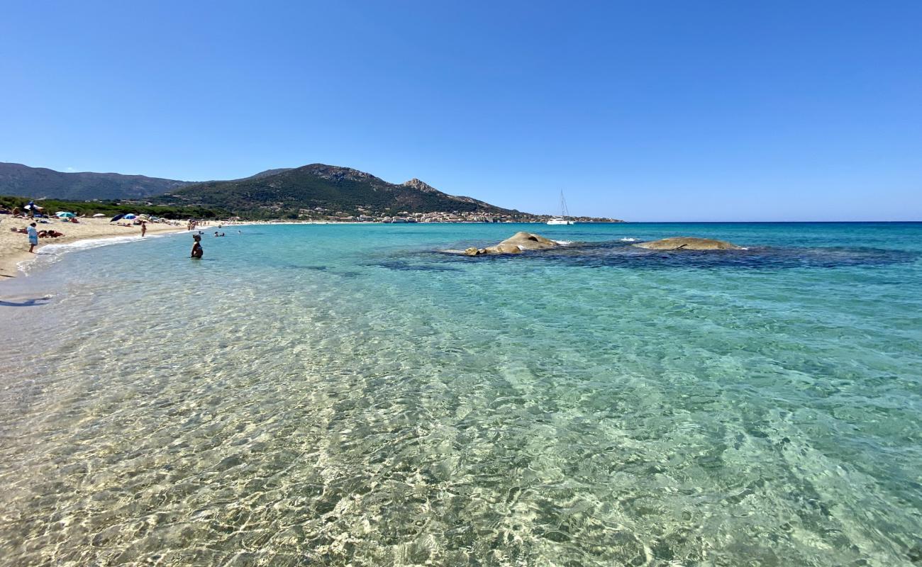 Foto af Aregno Strand med lys sand overflade