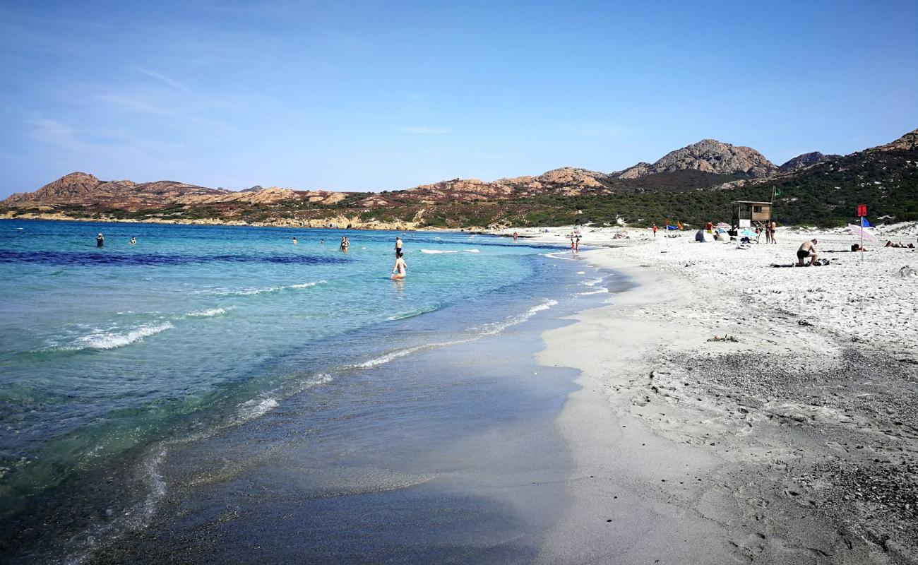 Foto af Ostriconi Strand med lys sand overflade