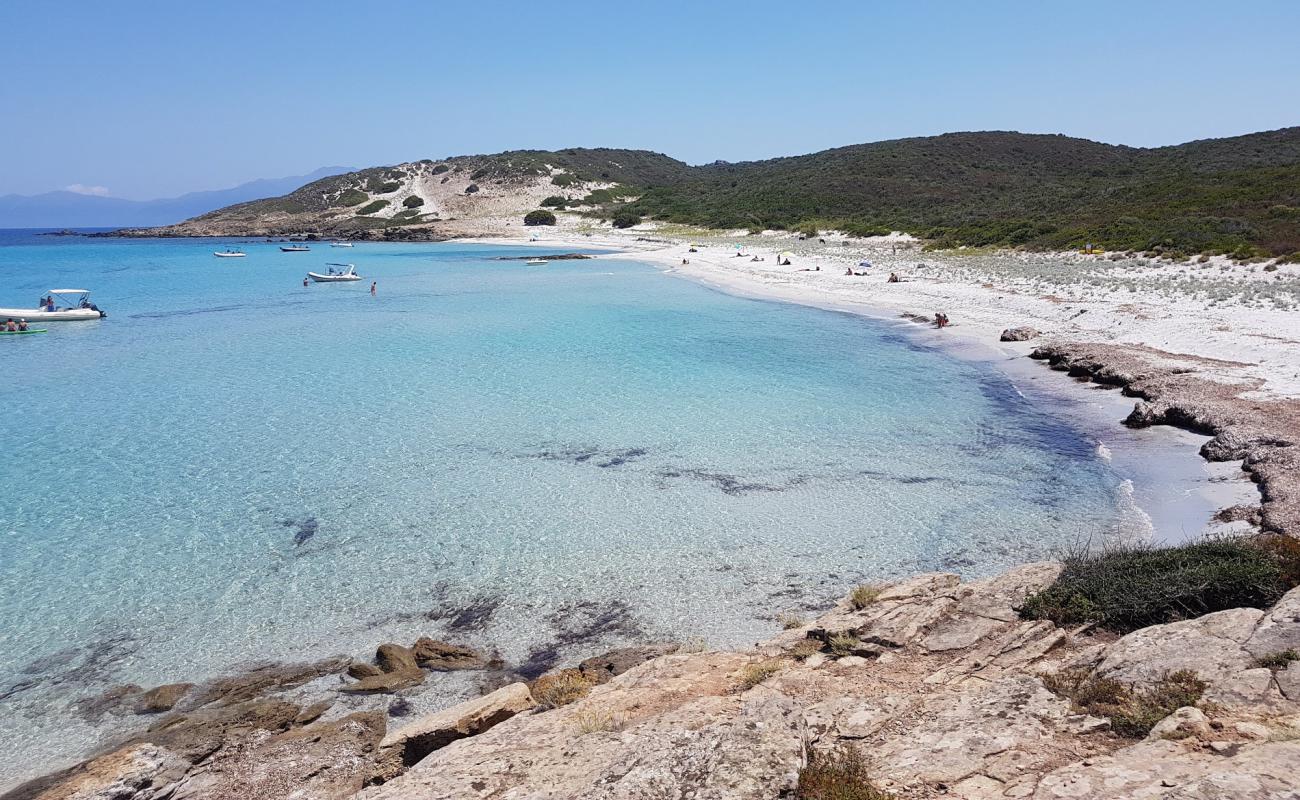 Foto af Ghignu beach med lys sand overflade