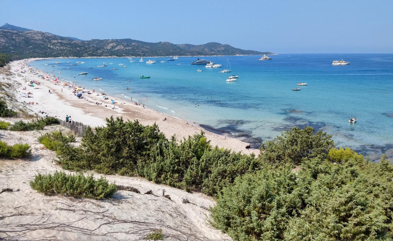 Foto af Saleccia Strand med lys fint sand overflade