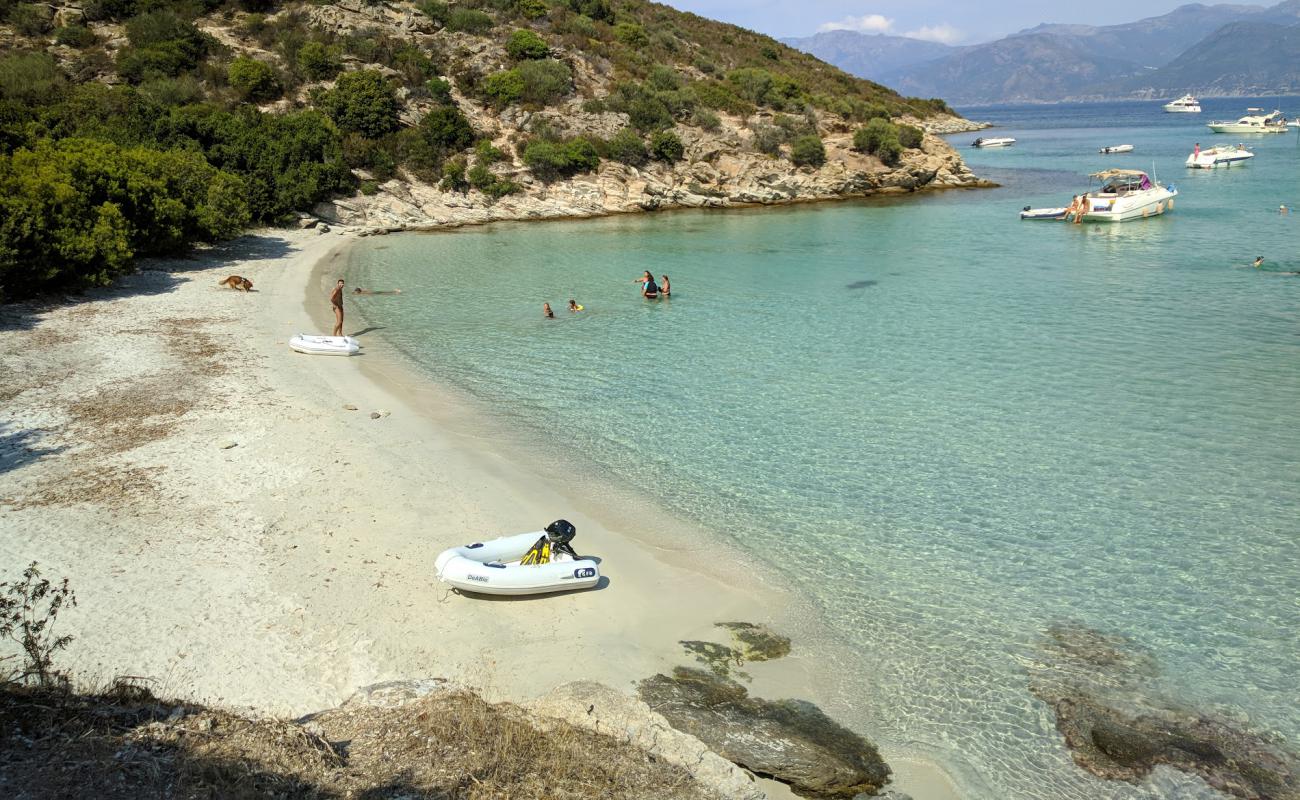 Foto af Fiume Santo med lys sand overflade