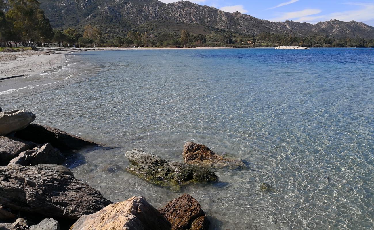 Foto af La Roya beach med lys sand overflade