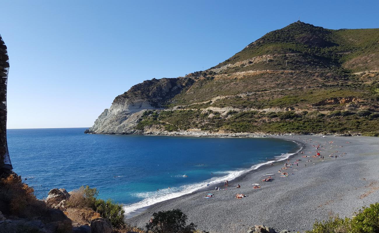 Foto af D'Albo beach med grå sten overflade