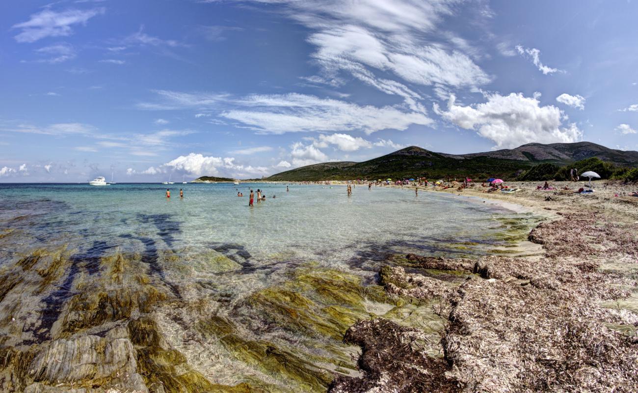 Foto af Barcaggio beach med lys sand overflade