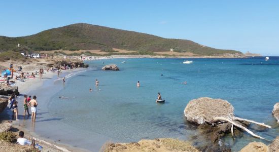 Plage De Tamarone