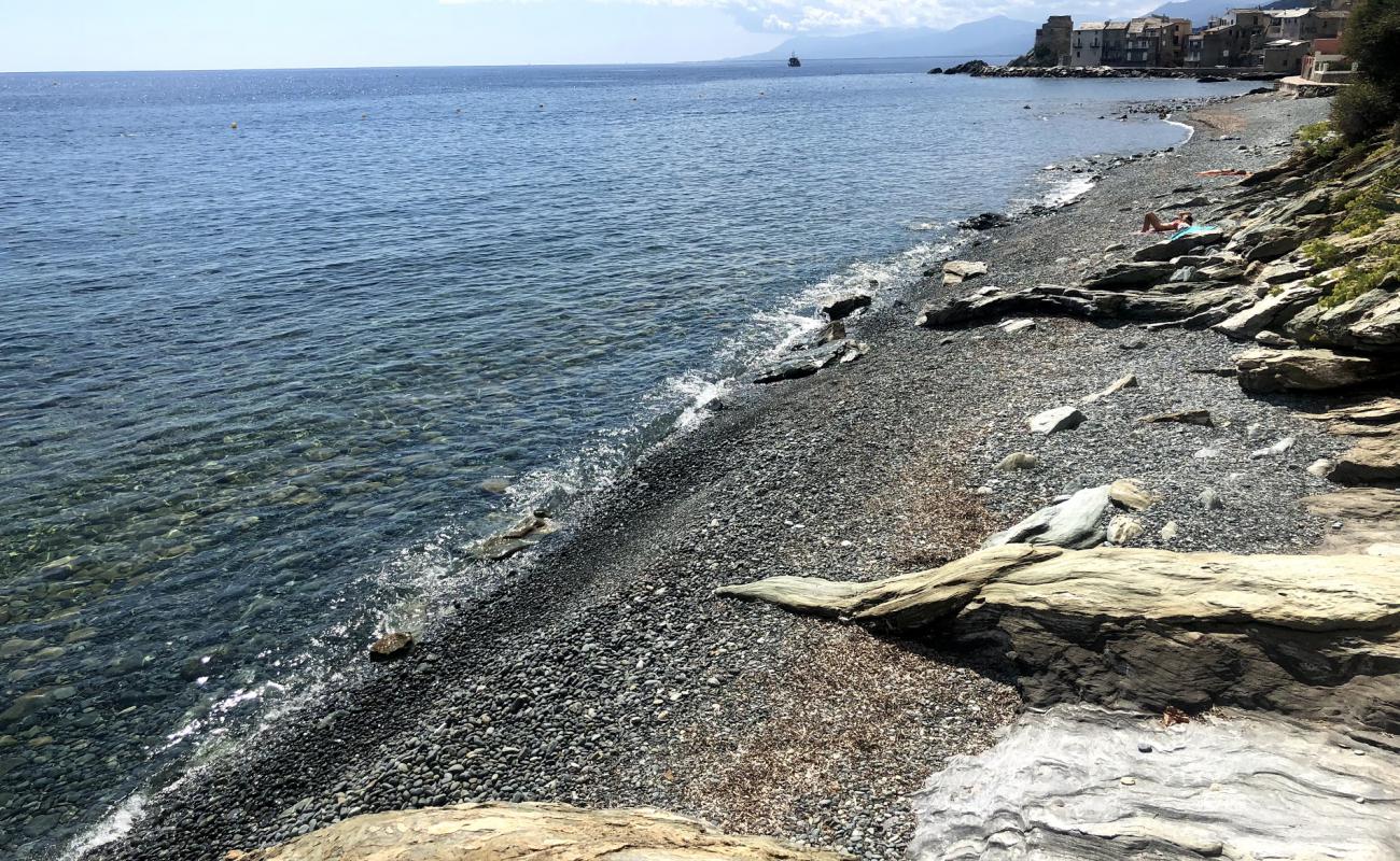 Foto af Erbalunga beach med grå sten overflade