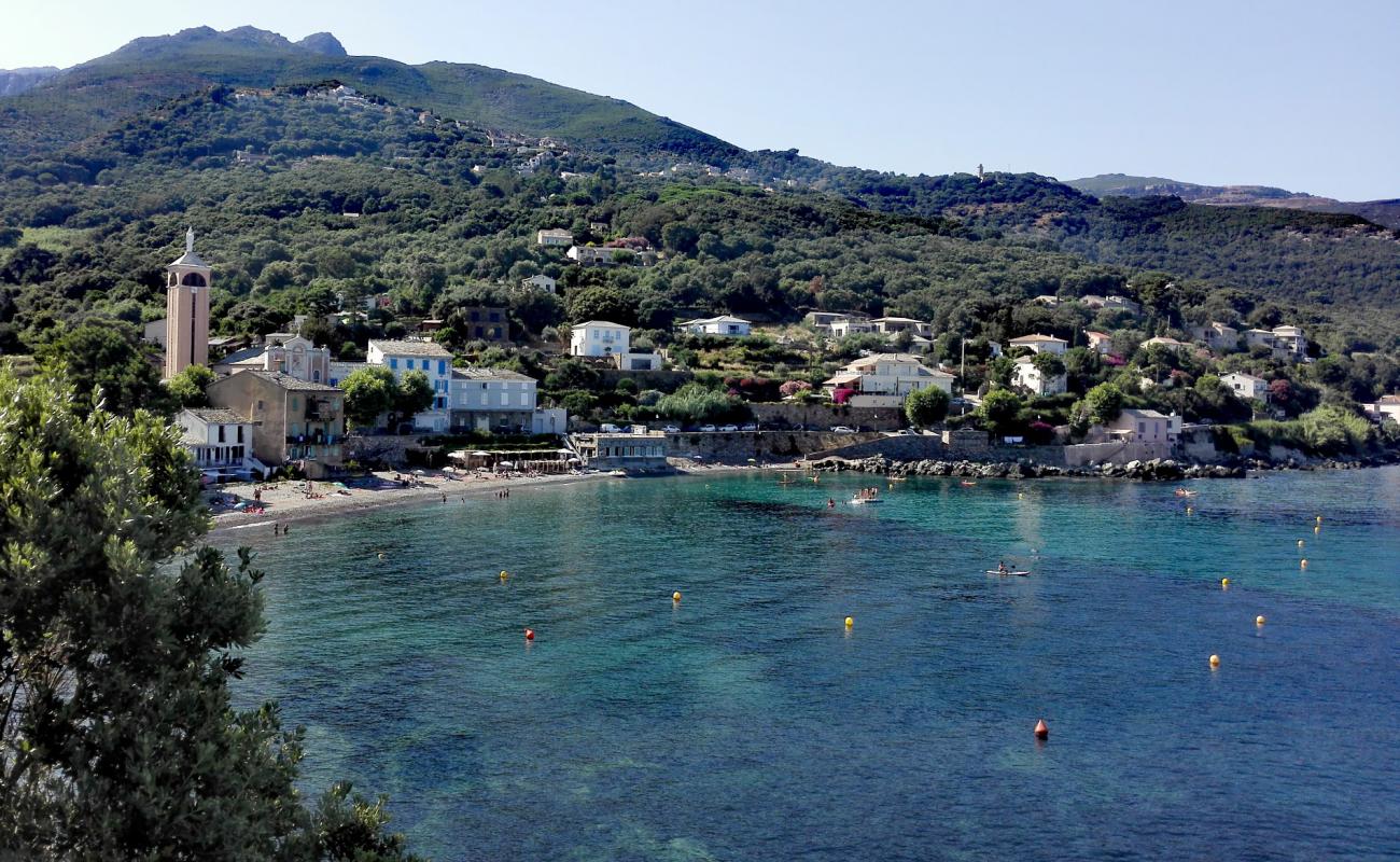 Foto af Lavasina beach med grå sten overflade