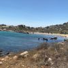 Cala Sderenaia Stranden