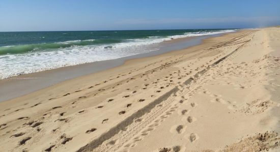 Plage de l'Especier