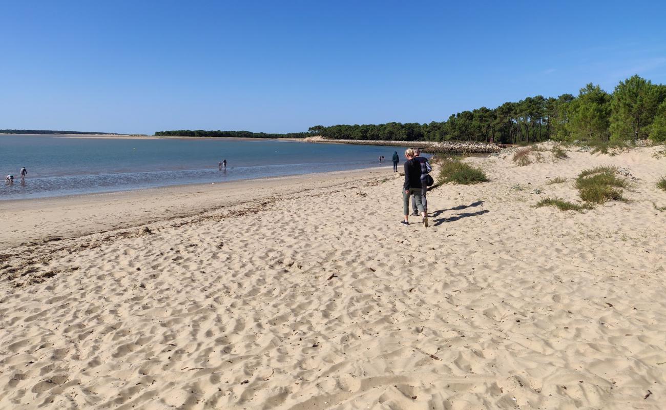 Foto af Plage de Gatseau med hvidt sand overflade