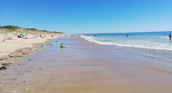 Plage du Treuil