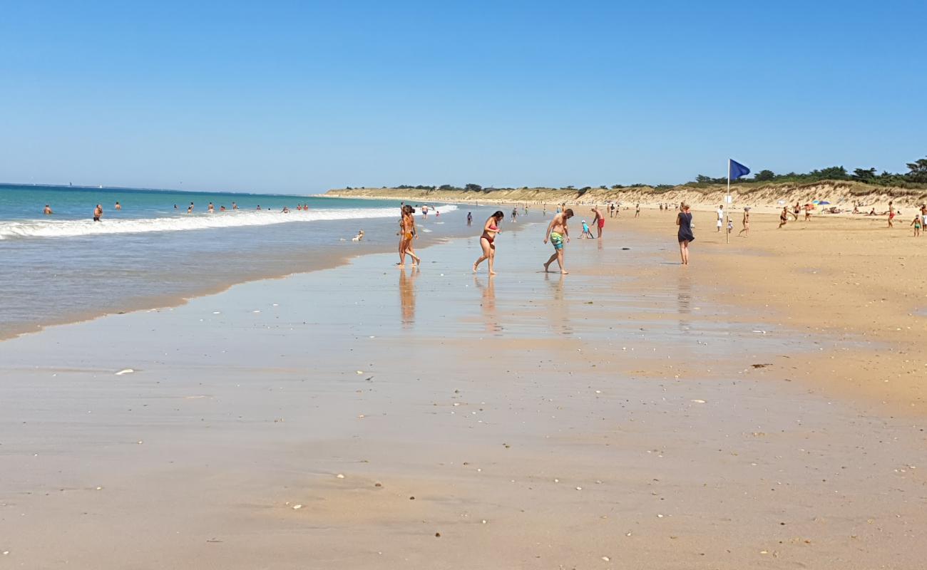 Foto af Conche of Whales beach med lys sand overflade