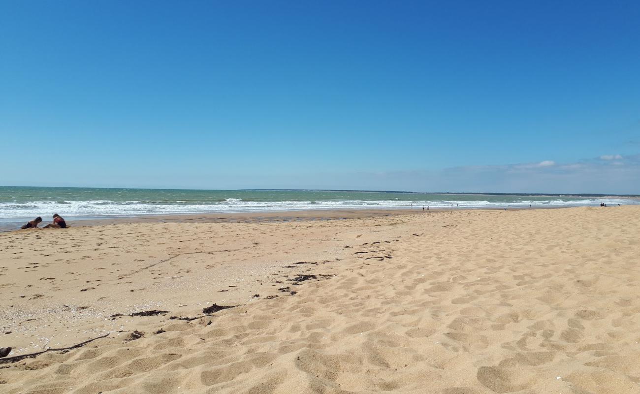 Foto af Terriere beach med lys sand overflade