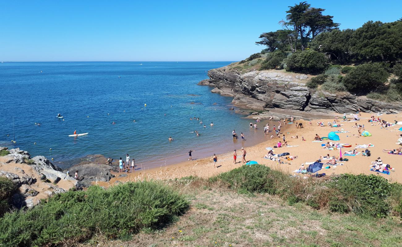 Foto af Porteau beach med lys sand overflade