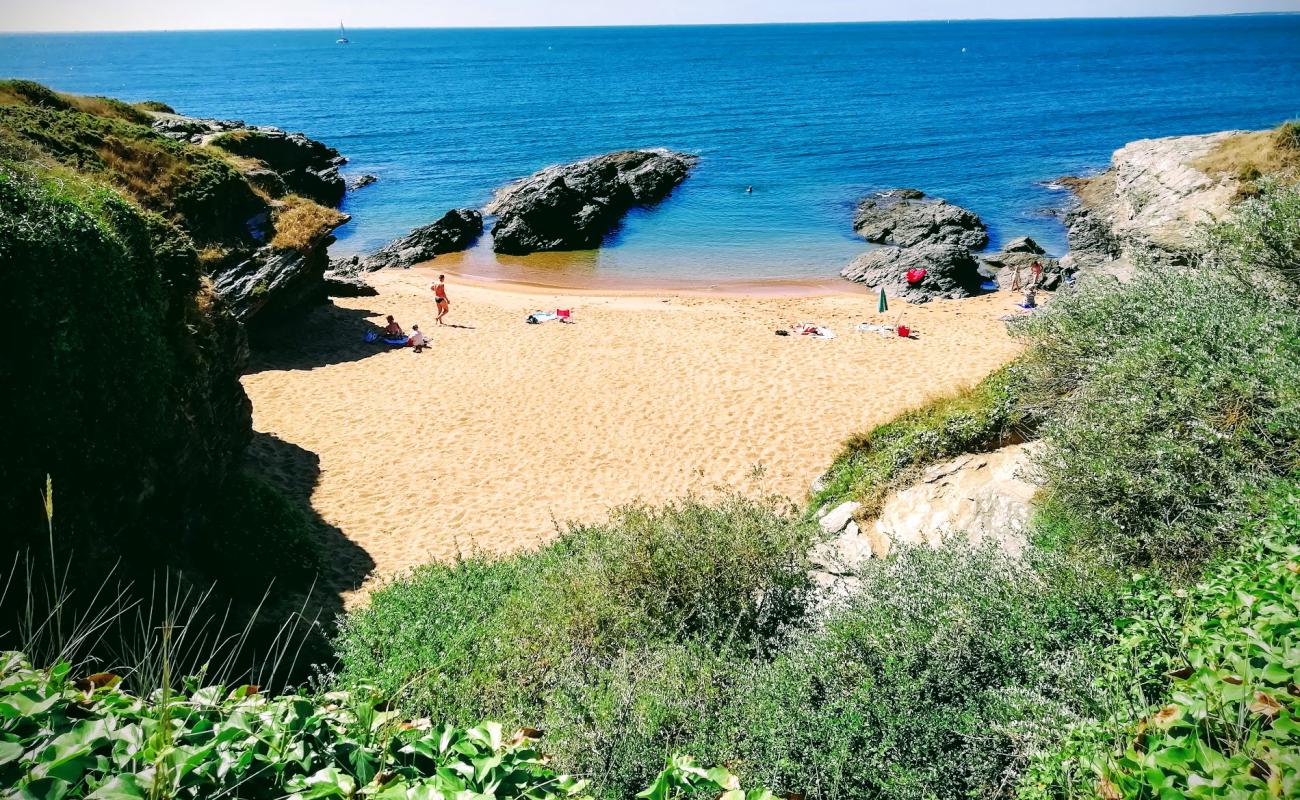 Foto af La Gauviniere beach med lys sand overflade