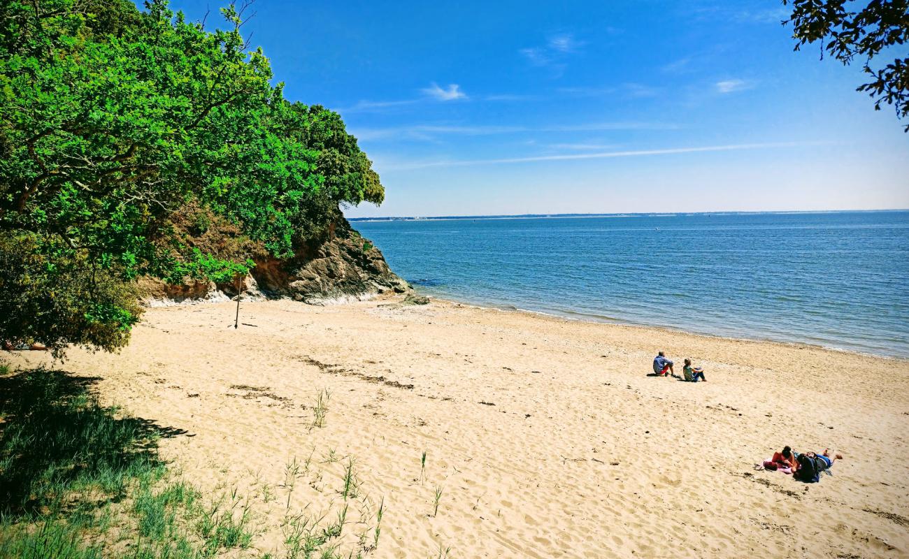 Foto af Porce beach med lys sand overflade