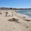 Plage Quiberon