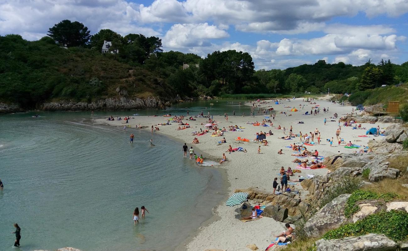 Foto af Anse de Rospico med lys sand overflade