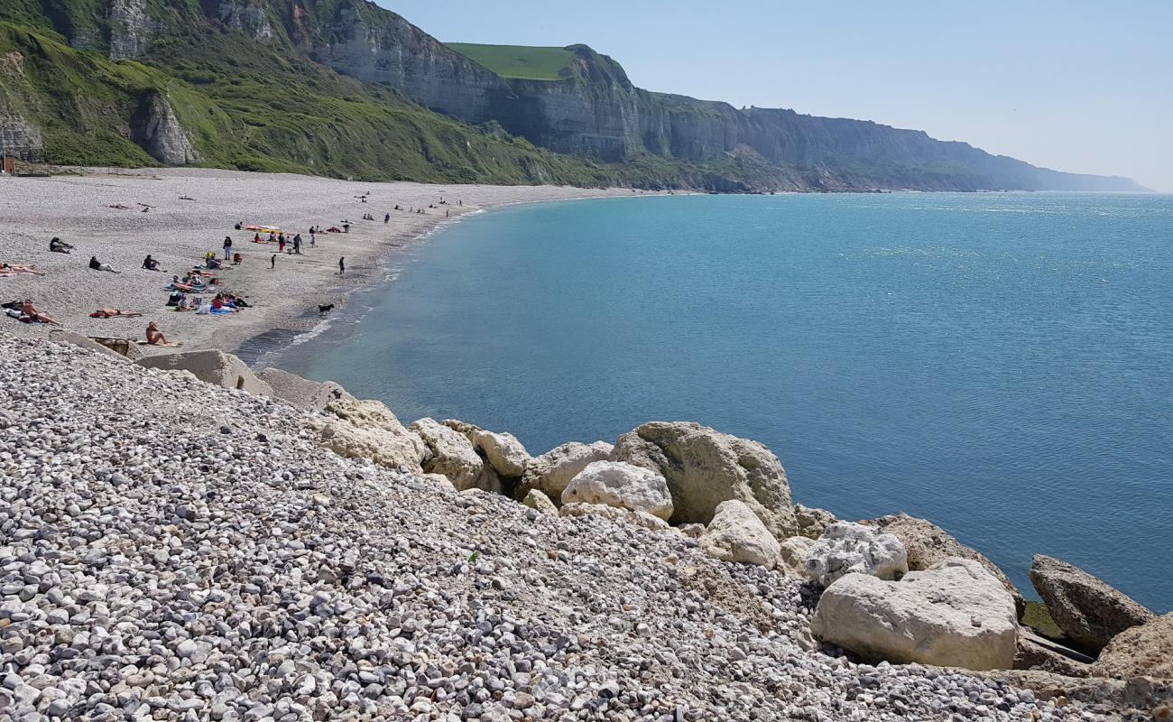 Foto af Plage Saint-Jouin med grå sten overflade