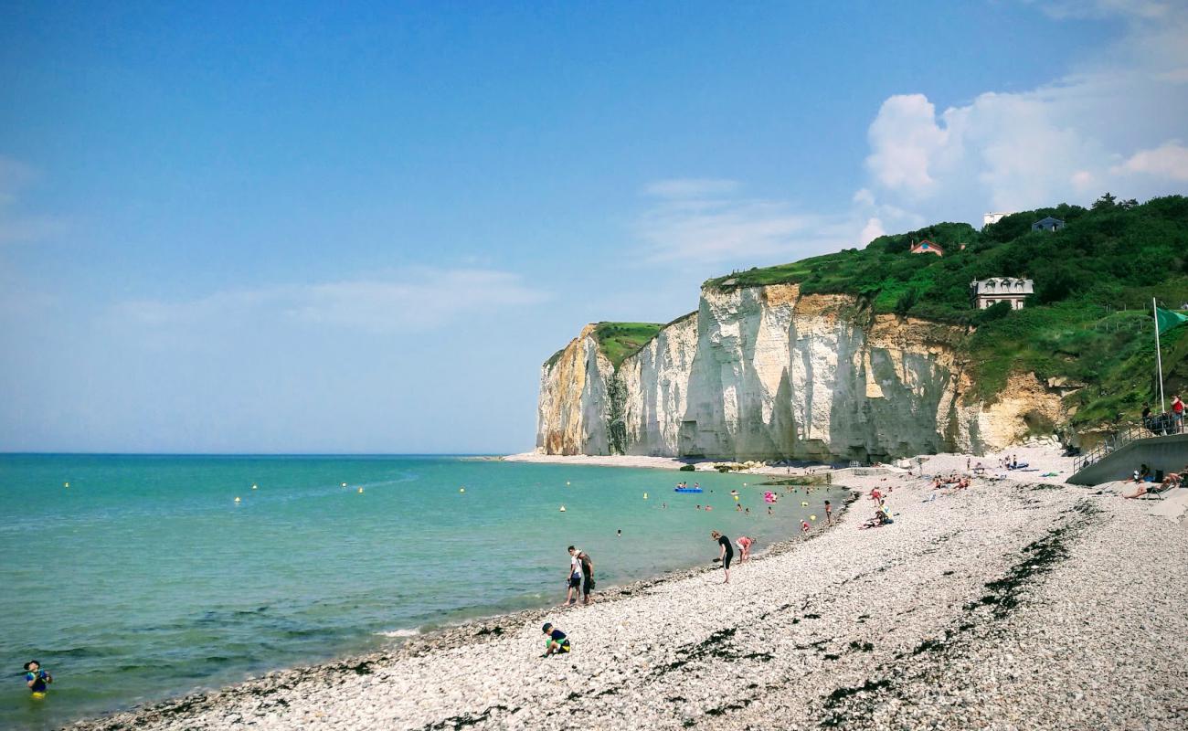 Foto af Plage de Saint-Pierre-en-Port med let sten overflade