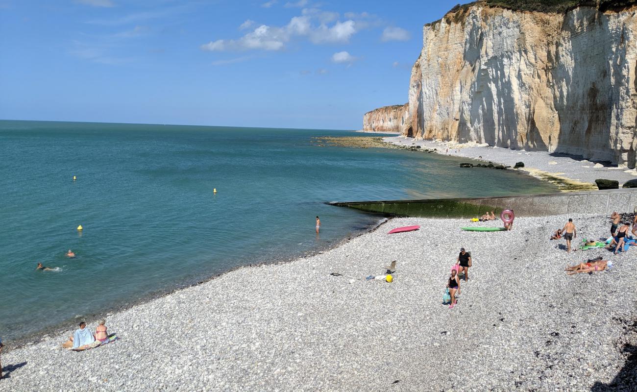 Foto af Plage des Grandes Dalles med sten overflade