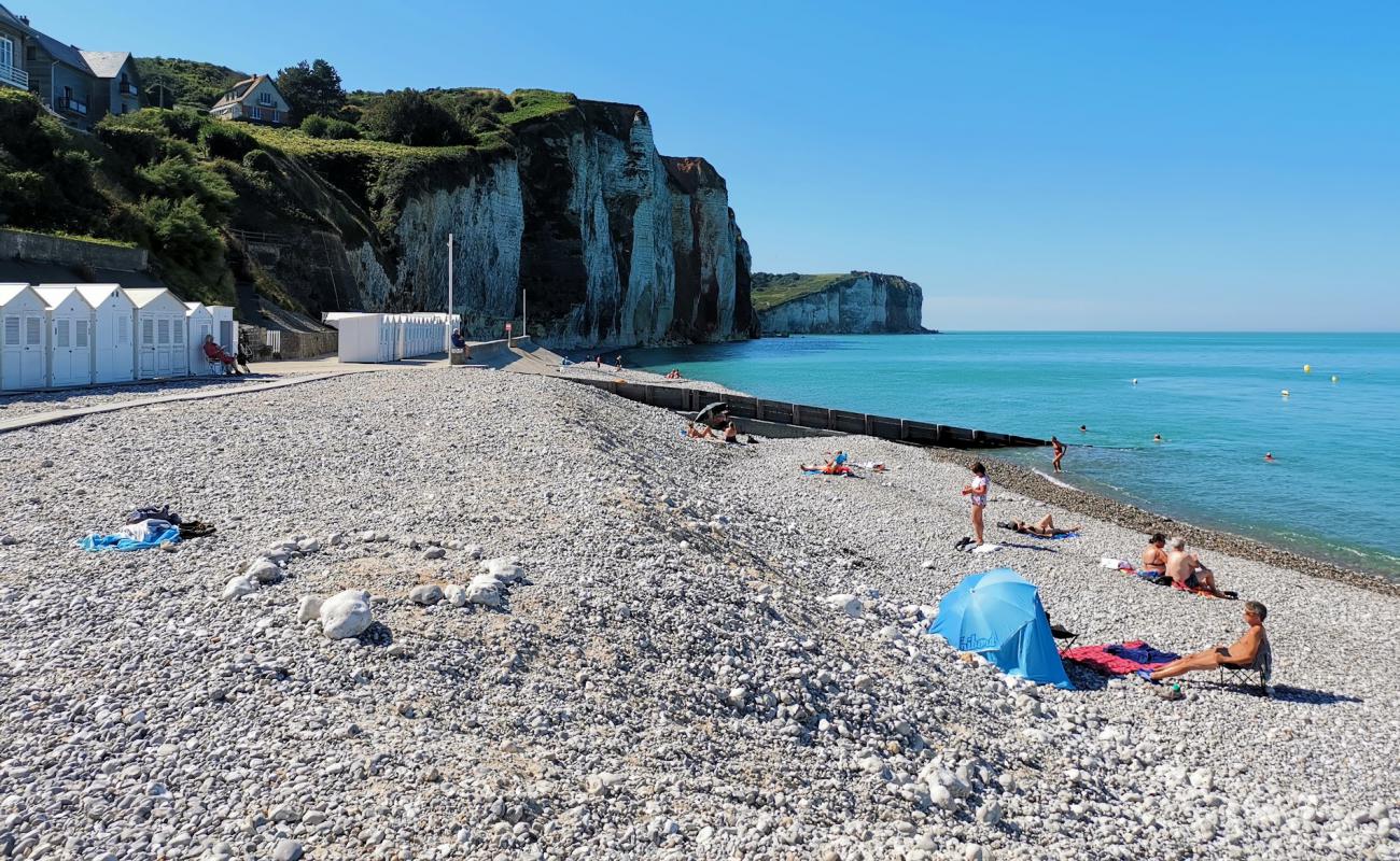 Foto af Plage des Petites Dalles med let sten overflade