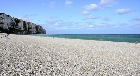 Treport Strand