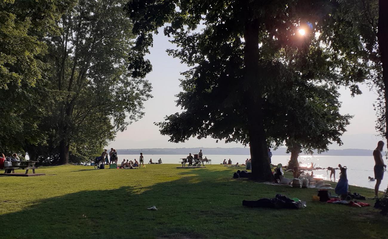 Foto af Plage du Redon med græs overflade