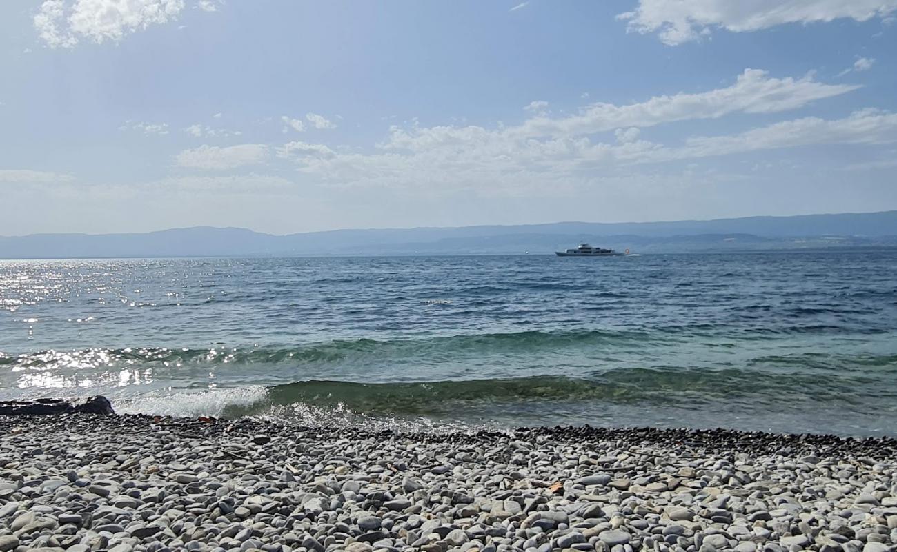 Foto af Plage naturiste de La Pinede med grå sten overflade