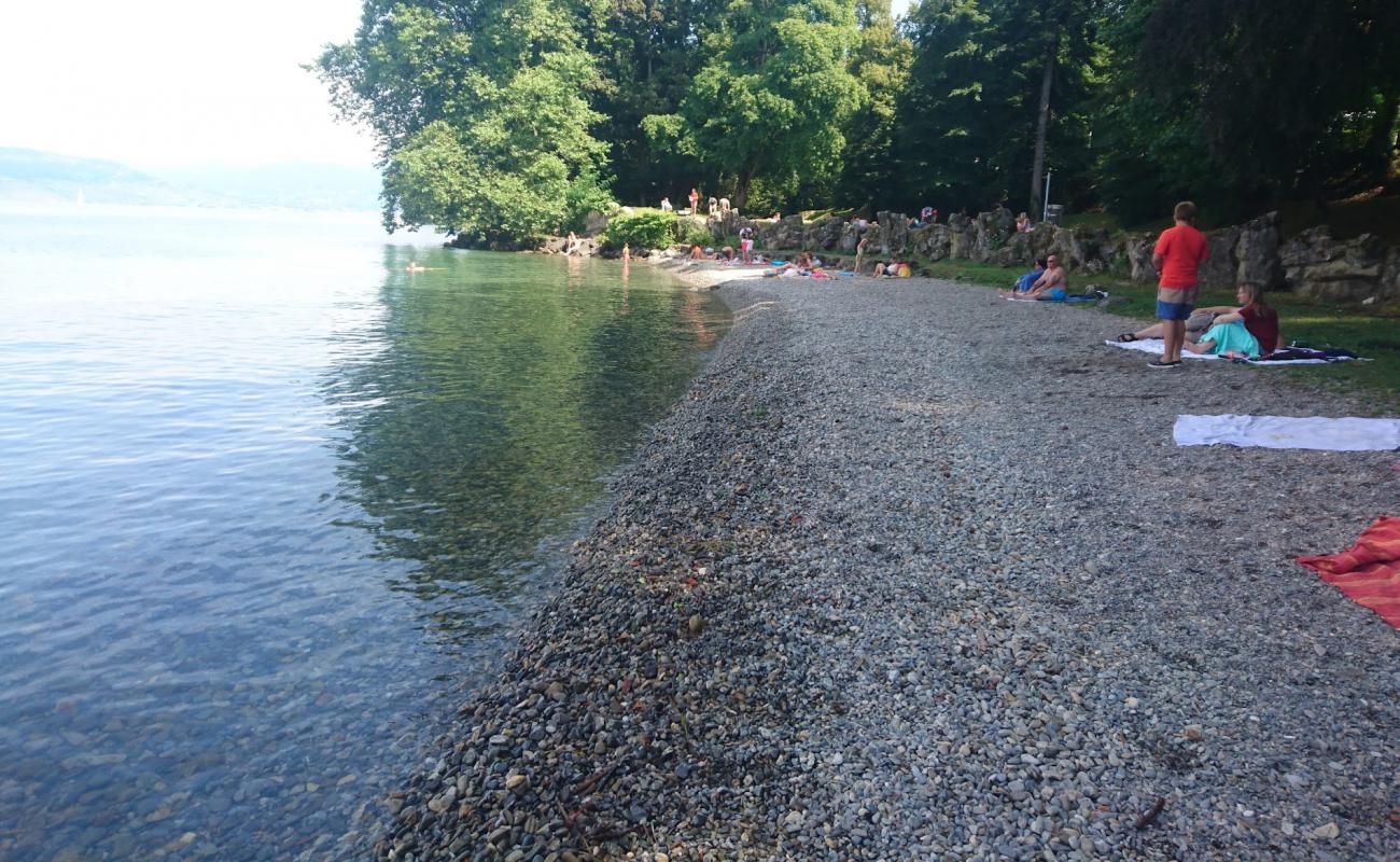 Foto af Plage de Tourronde med grå sten overflade