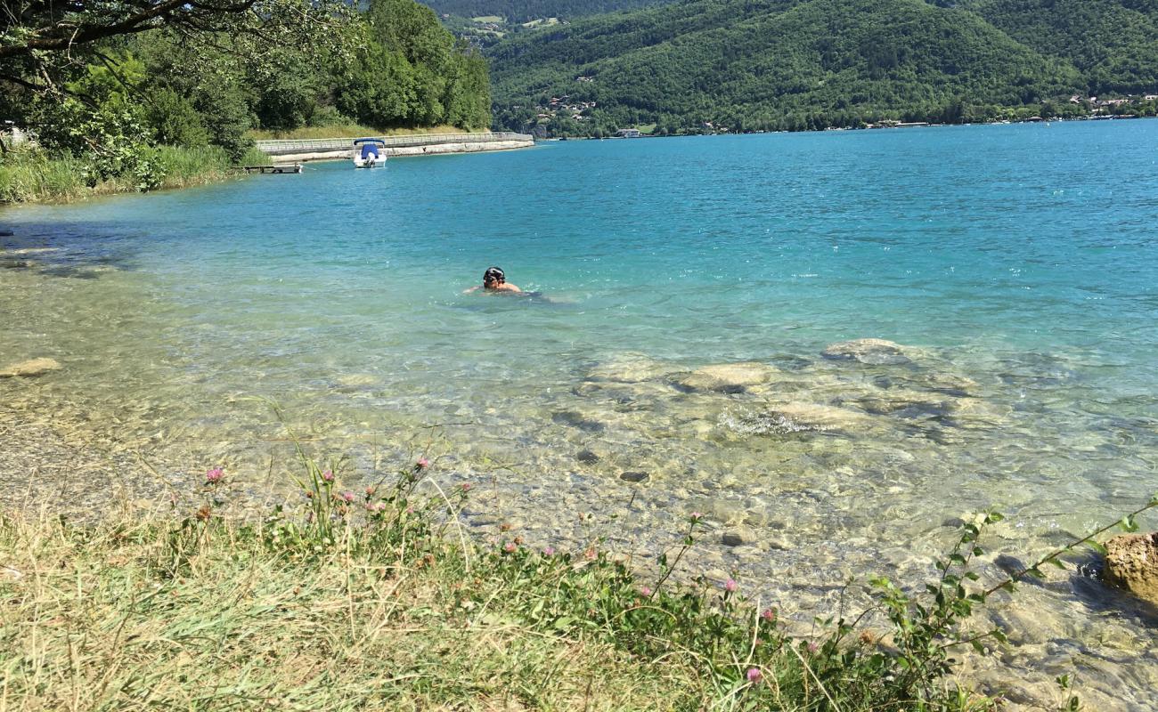 Foto af Grassy Knoll By Lake Beach med græs overflade