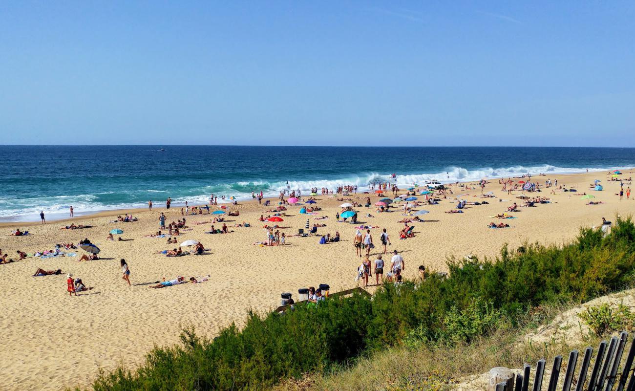 Foto af Ondres Strand med lys sand overflade