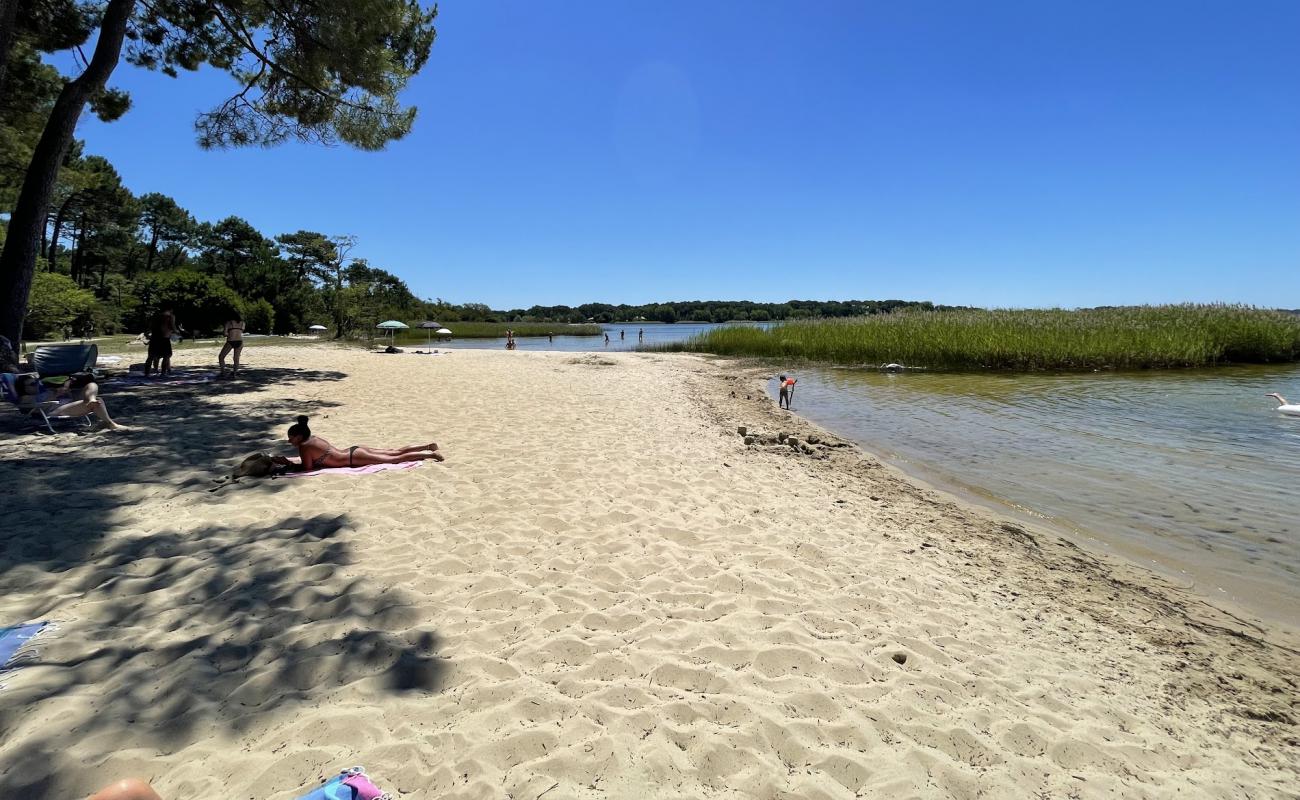 Foto af Sanguinet plage med lys sand overflade