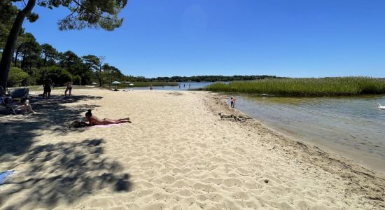 Sanguinet plage