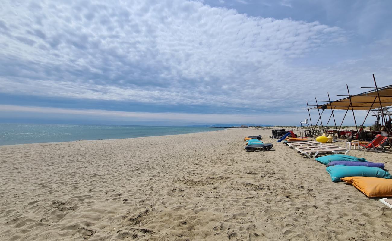 Foto af Leucate Strand med lys sand overflade