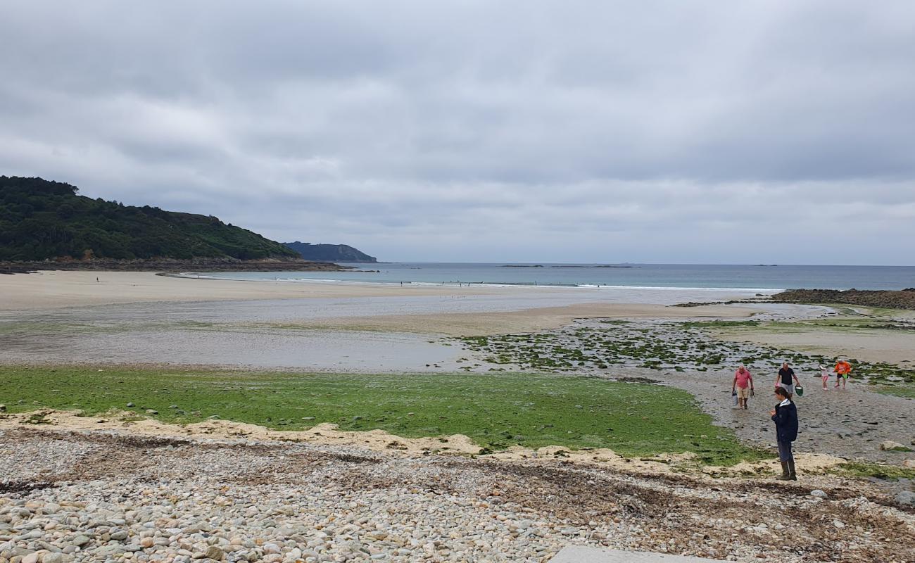 Foto af Plage du Moulin de la Rive med lyst sand & sten overflade