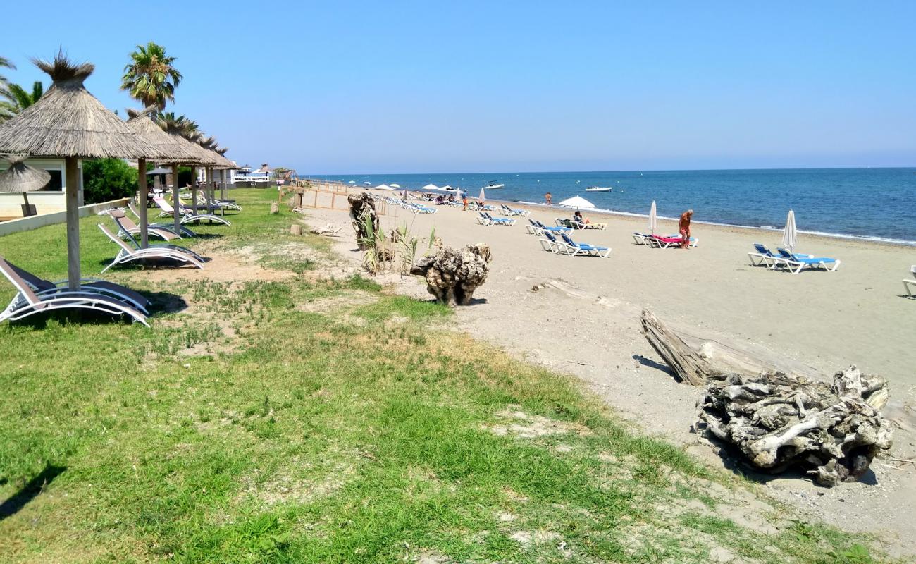 Foto af Plage de San Pellegrino med lys sand overflade