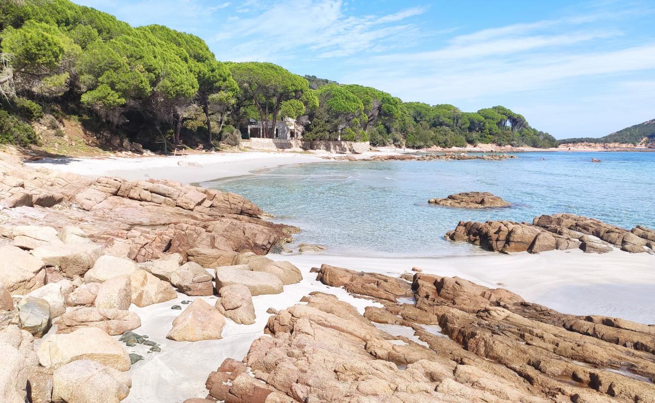 Foto af Plage de Capu Di Fora med lys sand overflade