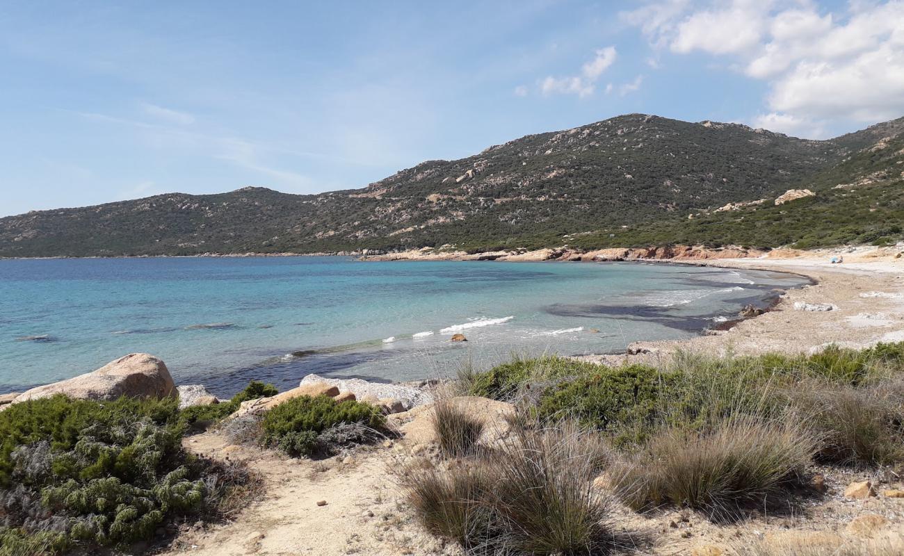 Foto af Plage de Mucchiu Biancu med lys sand overflade