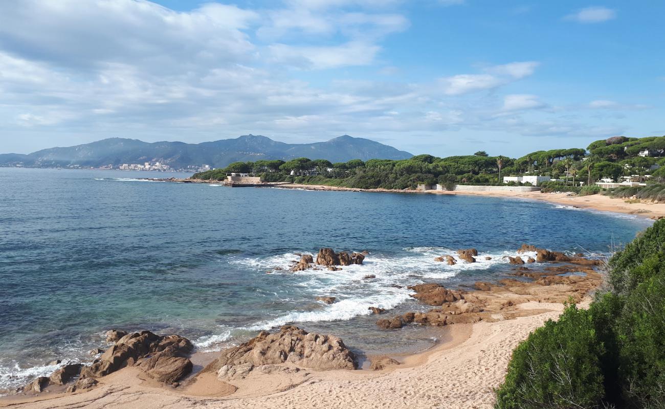 Foto af Plage de la Crique Porticcio med lys sand overflade