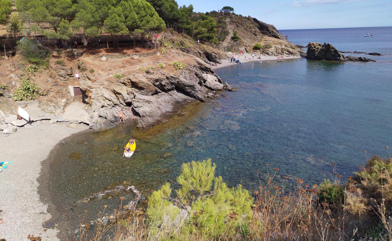 Foto af Valenti Plage med grå sten overflade