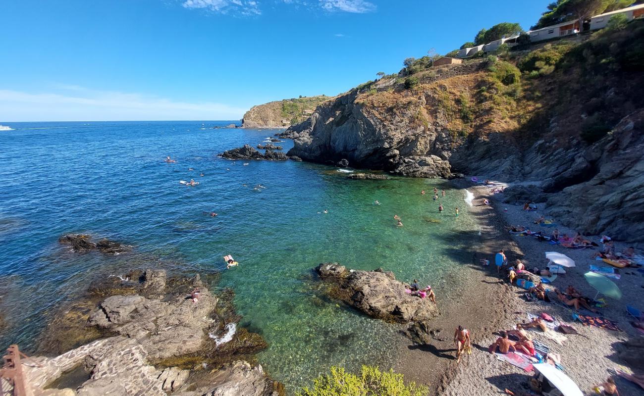 Foto af Plage Les Criques de Porteils med grå fin sten overflade