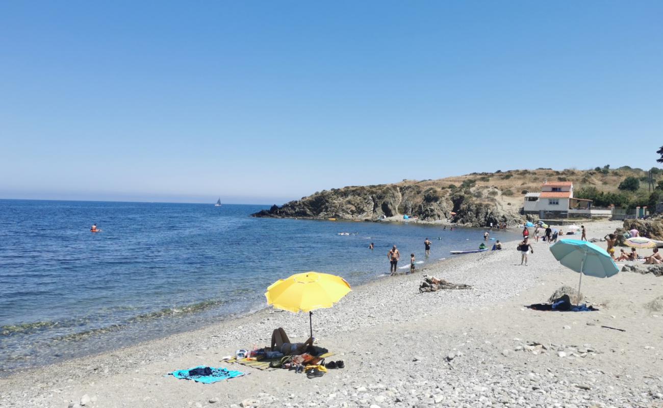 Foto af Plage Anse du Portell med grå sten overflade