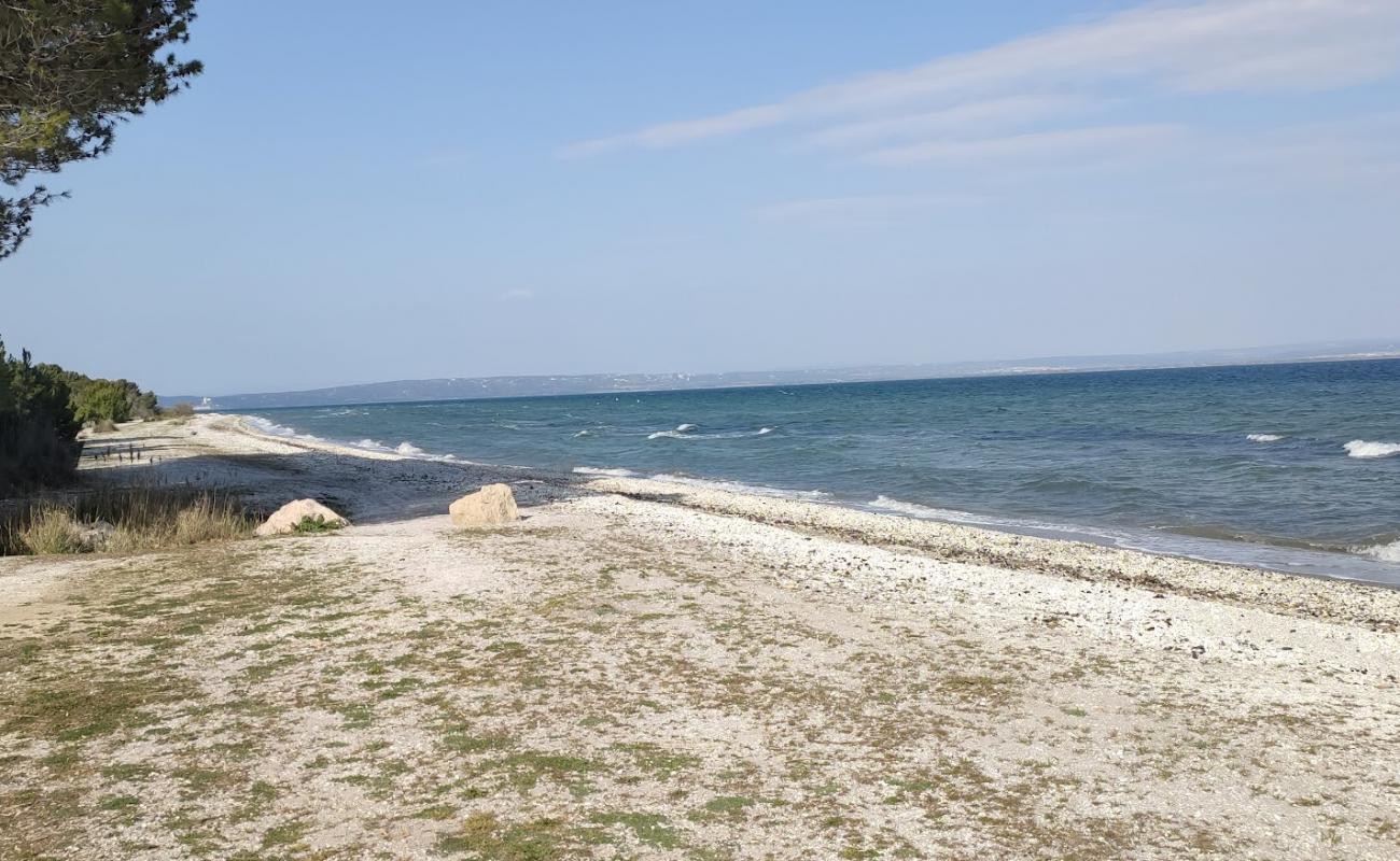 Foto af Plage de Figuerolles med lys skaldesand overflade