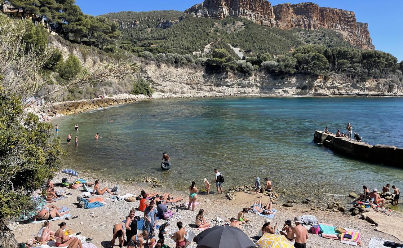 Foto af Plage du Corton med grå sten overflade