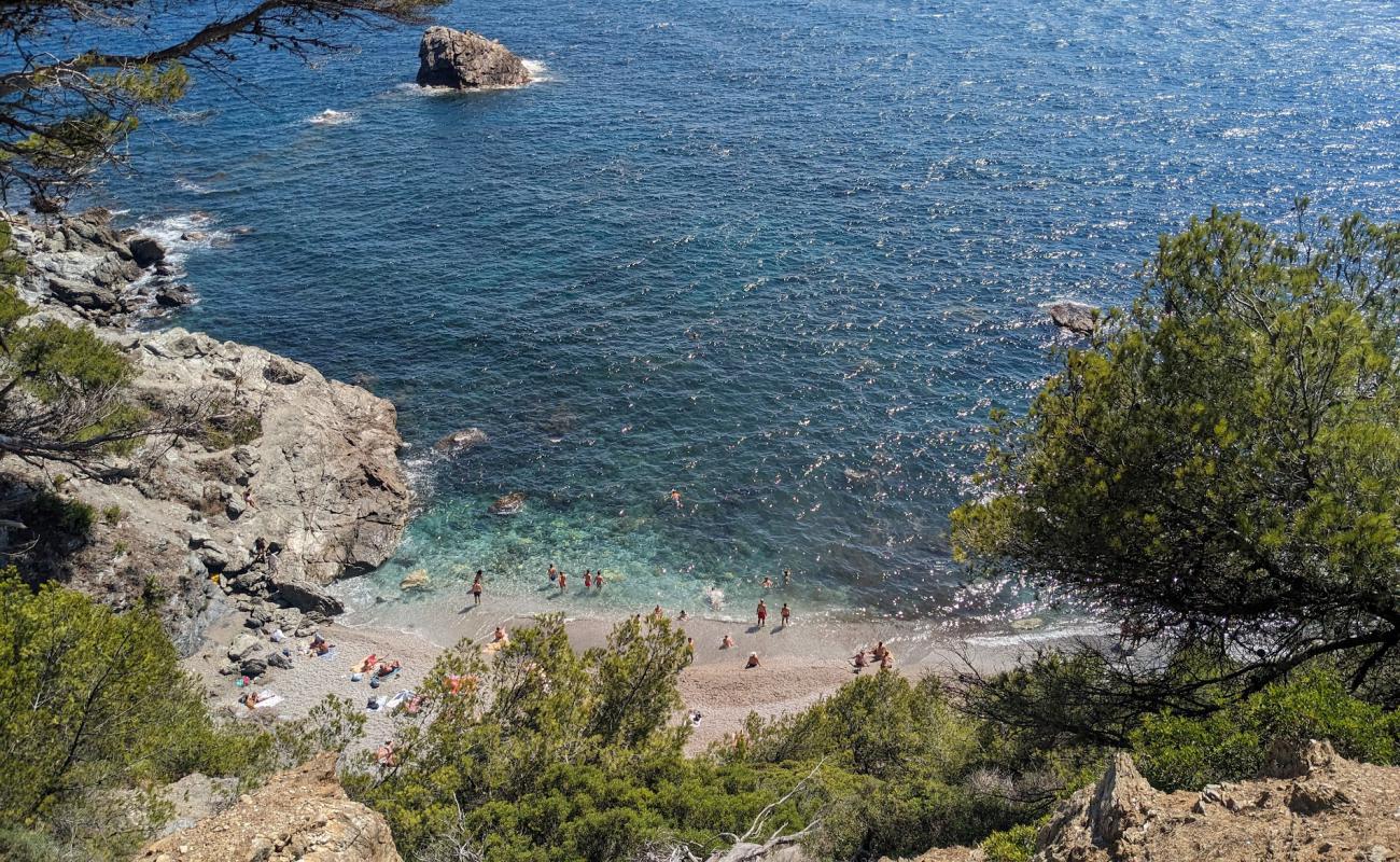 Foto af Plage du Mont Salva med grå fin sten overflade